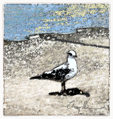 Seagull 2